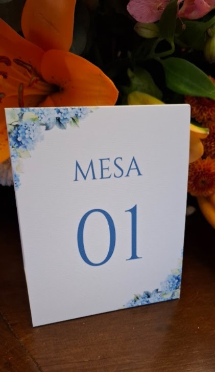 Manual dos padrinhos personalizado com identidade visual · MD Conviteria